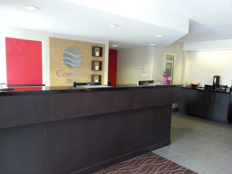 Comfort Inn Brantford Zewnętrze zdjęcie
